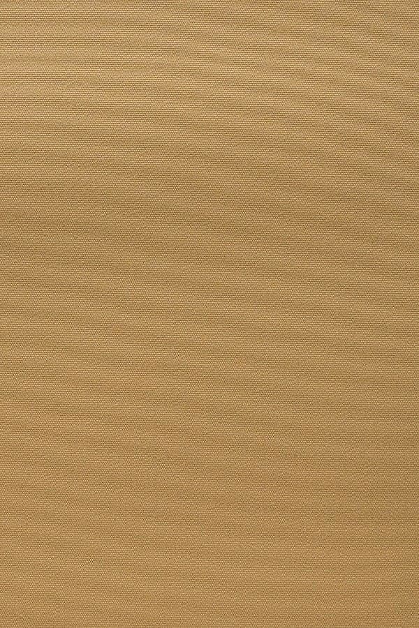 Beige 2038